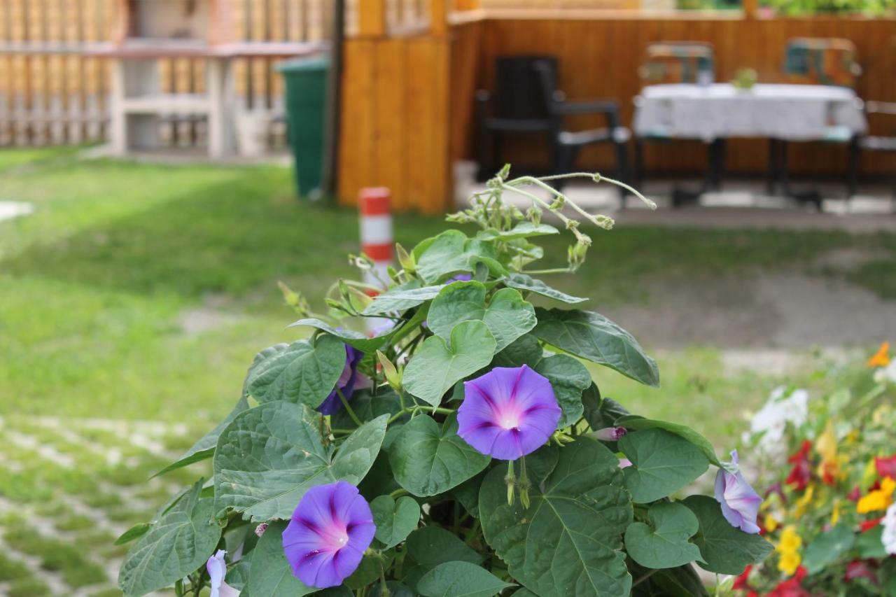 Mina - Rattendorf Apartment